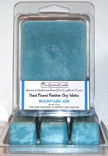2 Pack Scented Soy Wax Melts - Mountain Air Fragrance for Wax Warmers | Long-Lasting Aromatherapy Home Scent | Perfect for Living Room, Bedroom & Office Relaxation
