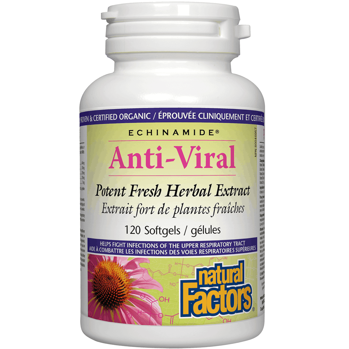 Natural Factors Echinamide Anti-Viral Potent Fresh Herbal Extract 120 Softgels | Immune Support Supplement for Cold & Flu Season | Boosts Wellness Naturally