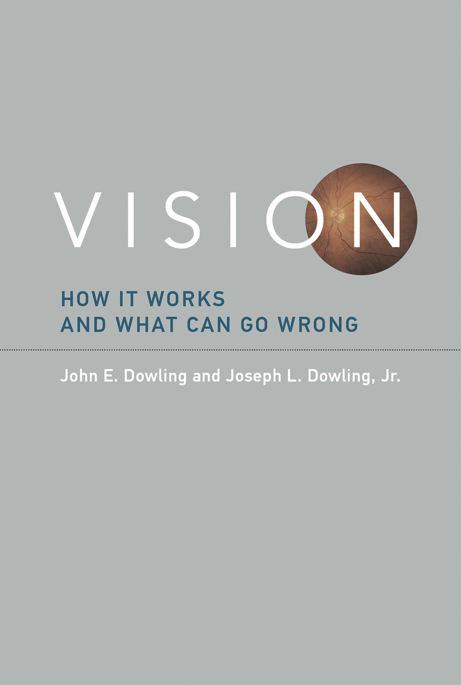 Vision: How It Works and What Can Go Wrong - Neuroscience Book by MIT Press | Perfect for Students, Researchers & Science Enthusiasts