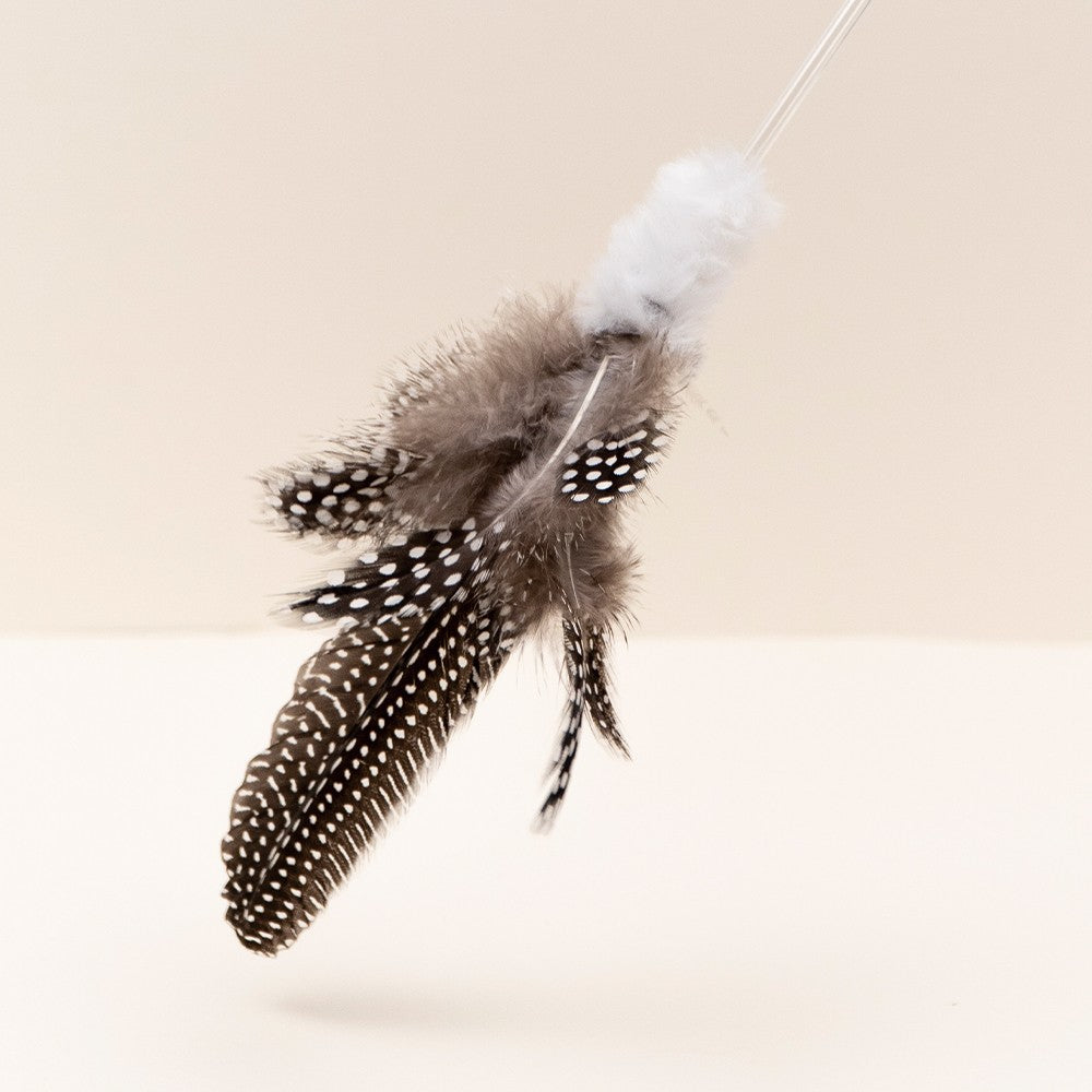 Premium Guinea Fowl Feather Cat Teaser Wand Toy - Interactive Play for Kittens & Adult Cats - Perfect for Indoor Exercise & Bonding Time