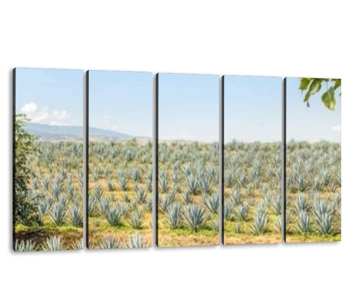 KiiAmy 5-Panel Blue Agave Fields Wall Art - Tequila Jalisco Mexico Landscape Canvas Print - Modern Framed Painting for Office, Bedroom & Home Decor - Ready to Hang (60