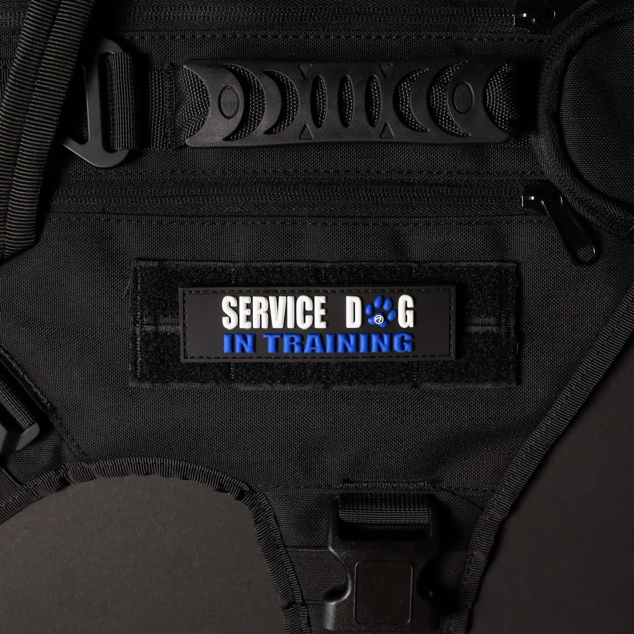Service Dog in Training with Blue Paw Patch - Perfect for Training, Public Access & Emotional Support