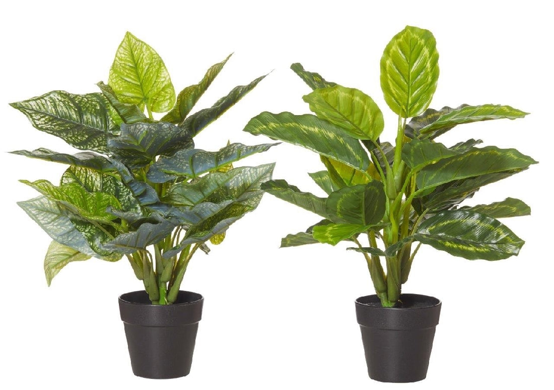 Rogue Indoor Plant Pots 16.5 Inch Green - Modern Decorative Flower Pots for Home, Office, and Garden Decor