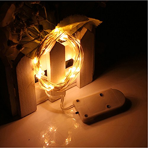 2M 20-LED Fairy String Lights - Battery Operated with Button Cell - Warm White LED Lights for DIY Home Decor, Wedding, Party, Christmas Tree & Outdoor Festival Lighting