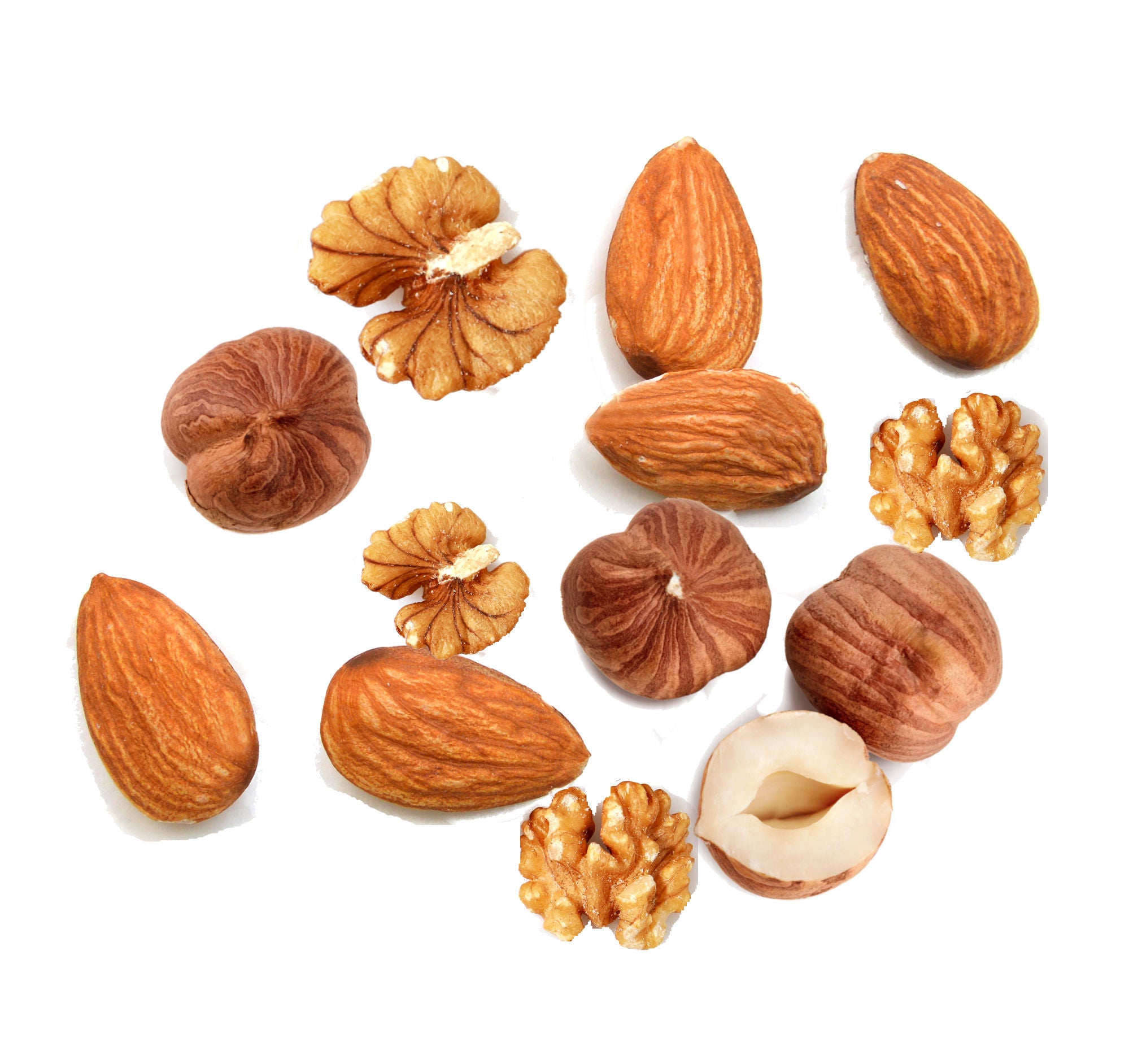 Premium Nut Mix Snacks - Healthy Gourmet Almonds, Cashews & Walnuts Blend - Perfect for Office, Hiking & Gift Giving