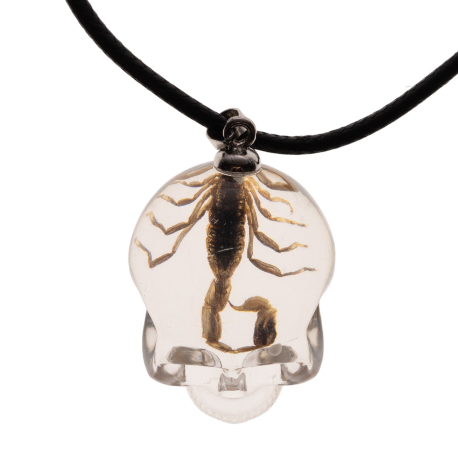 Real Golden Scorpion in Acrylic Skull Necklace - Unique Gothic Jewelry for Men & Women - Perfect for Halloween, Cosplay, and Alternative Fashion