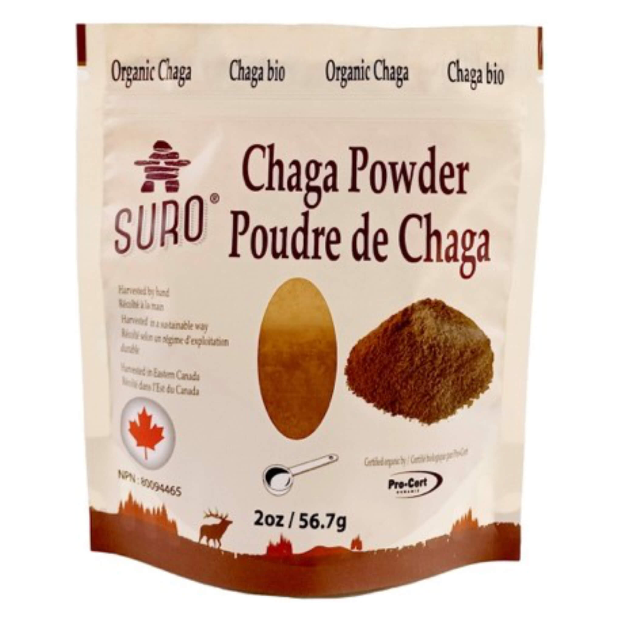 Premium Organic Chaga Mushroom Powder from Northeast Canada - Wild Harvested, Immune Support, Antioxidant Rich for Tea, Coffee & Wellness Drinks