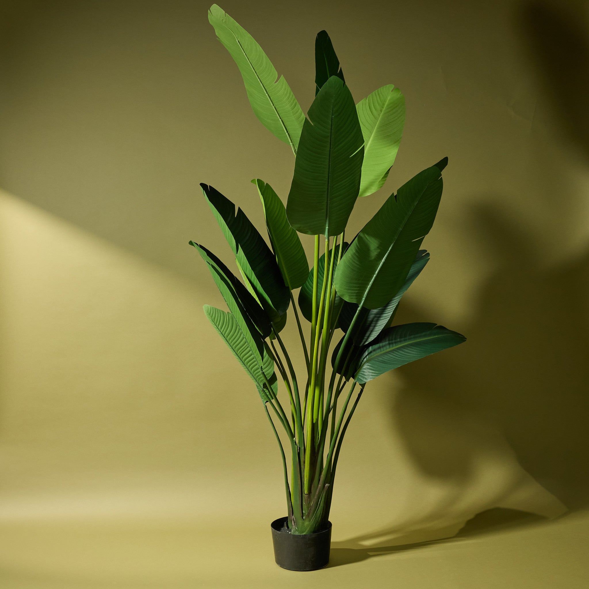 Premium Faux Giant Bird of Paradise Plant - 244cm Tall Artificial Tropical Tree for Home & Office Decor | Perfect for Living Room, Bedroom, or Indoor Garden