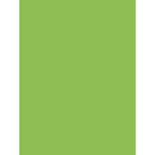 Premium A4 80gsm IQ Intense Color Paper - Spring Green (500 Sheets/Pack) for Office Printing, School Projects & Creative Artwork