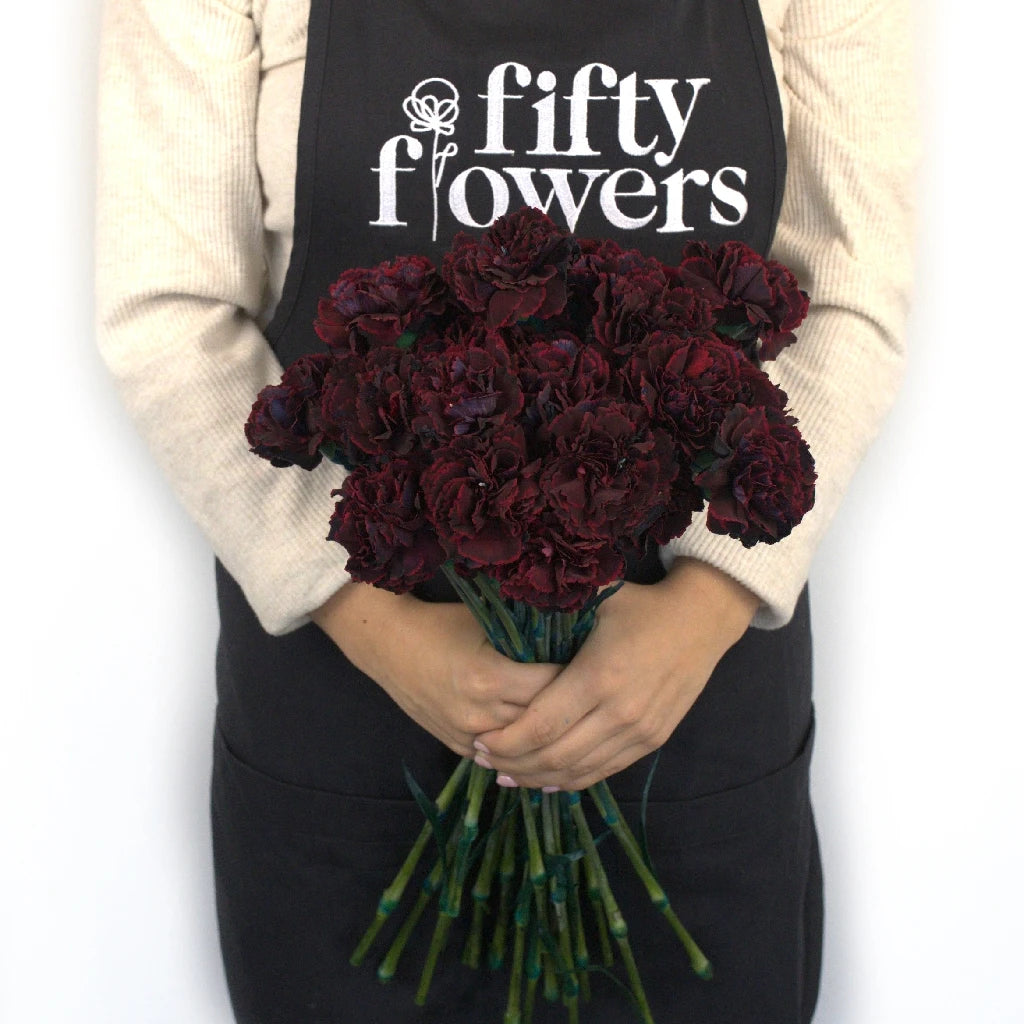 Fresh Black Cherry Red Carnation Flowers - Perfect for Bouquets, Wedding Decorations & Home Floral Arrangements