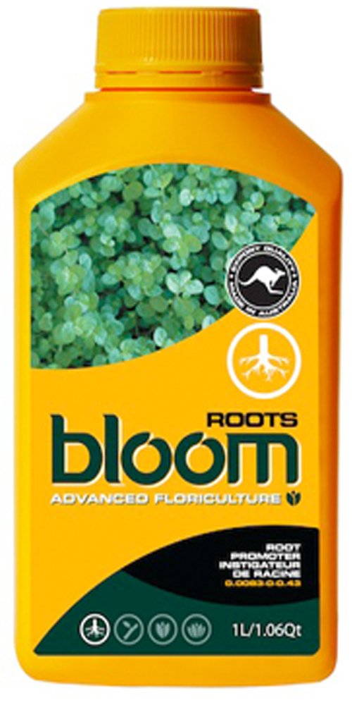 Bloom Roots Yellow Bottles 2.5 Liters - Premium Glass Water Bottle for Home, Office & Outdoor Use - BPA Free & Eco Friendly Drinking Container for Water, Juice & Tea