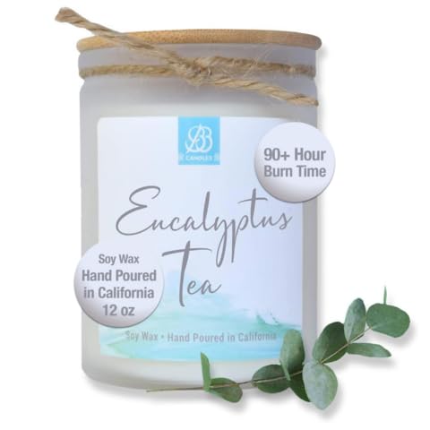 Natural Soy Hand-Poured Coastal Candle - Eucalyptus Tea Scent | 12oz Artisan Candle with 90+ Hours Burn Time | Strong Fragrance for Home, Spa & Relaxation