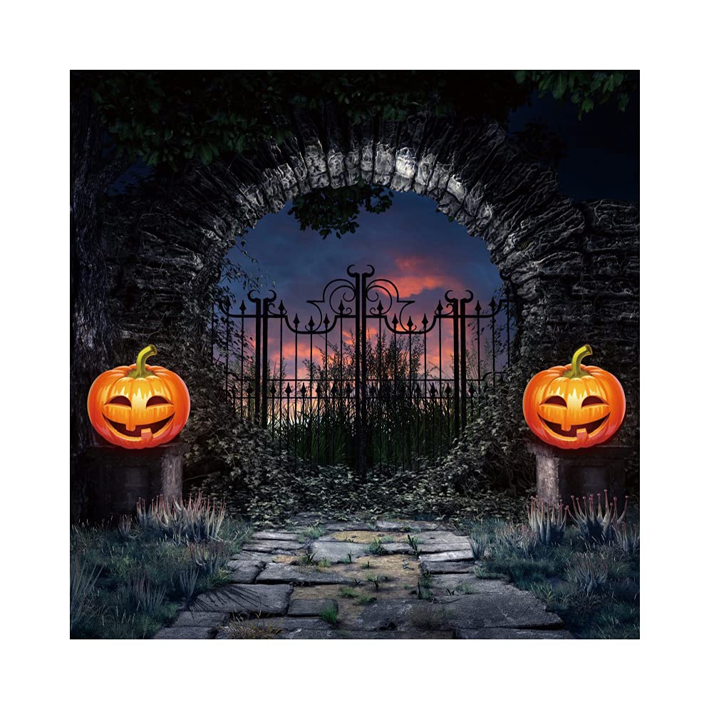 Renaiss 7x7ft Halloween Night Backdrop - Large Moon, Starry Sky with Pumpkins & Bats - Photography Background for Kids & Adults - Perfect for Portrait, Party Decor, Photo Shoot Props - Great for Halloween Parties, Spooky Themed Events & Social Media Content Creation