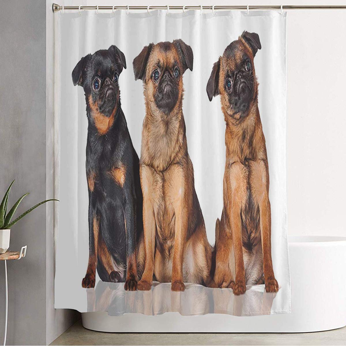 Waterproof Polyester Shower Curtain with 3 Belgian Griffon Dogs Design - Beige Animal Wildlife Bathroom Decor (60