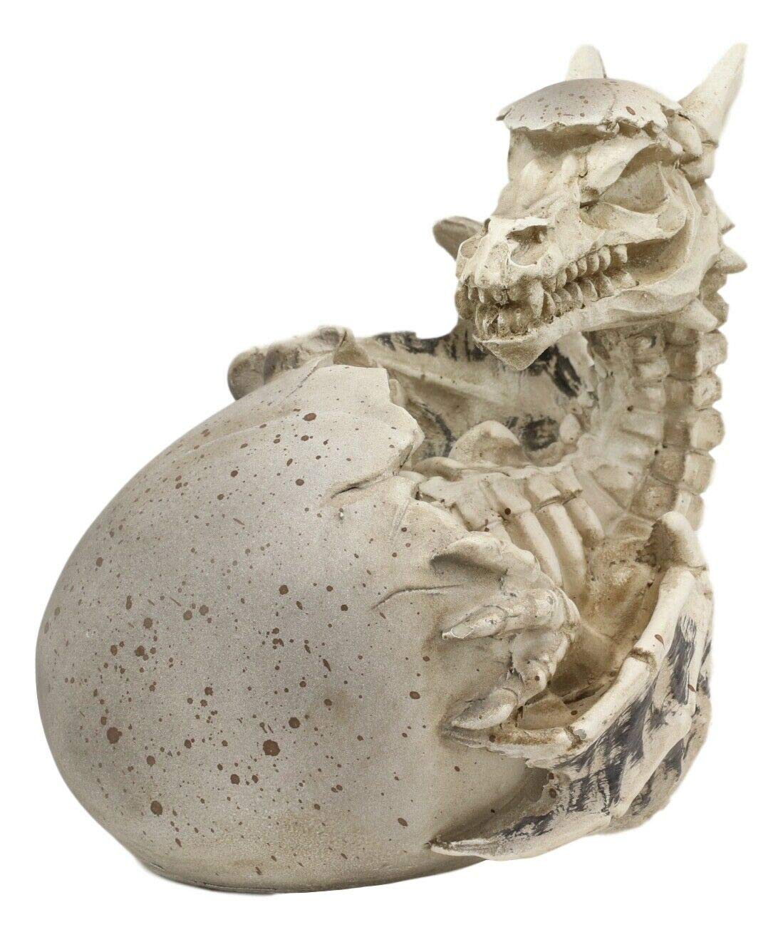 HomDEc Skeleton Bone Dragon Hatchling Emerging from Egg - 5.25