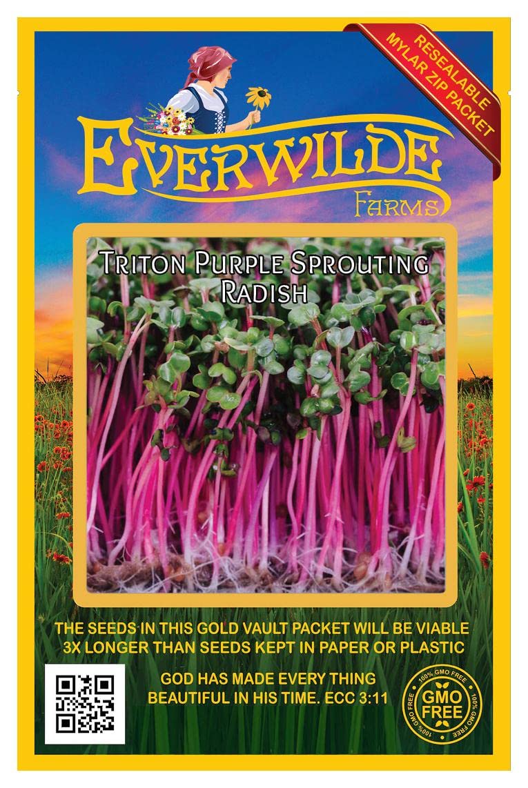 500 Triton Purple Sprouting Radish Seeds - Non-GMO Heirloom Vegetable Seeds for Home Gardening - Perfect for Salads, Stir-fries and Organic Farming | Everwilde Farms Gold Vault Jumbo Seed Packet