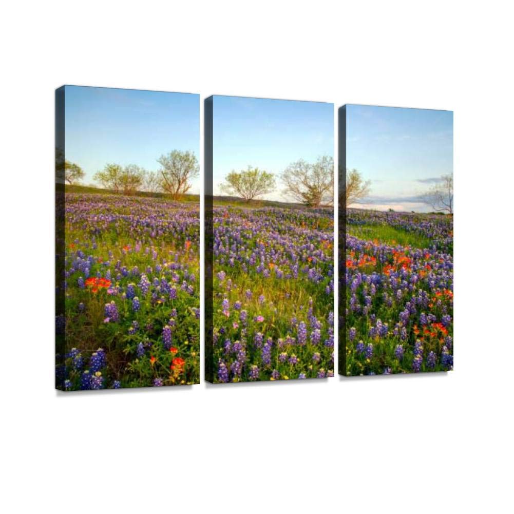 Texas Bluebonnets Hill Country Natural Landscape Canvas Wall Art - 3 Panel Paintings for Living Room & Bedroom Decor - Scenic Wildflower Posters for Home Office Wall Decoration