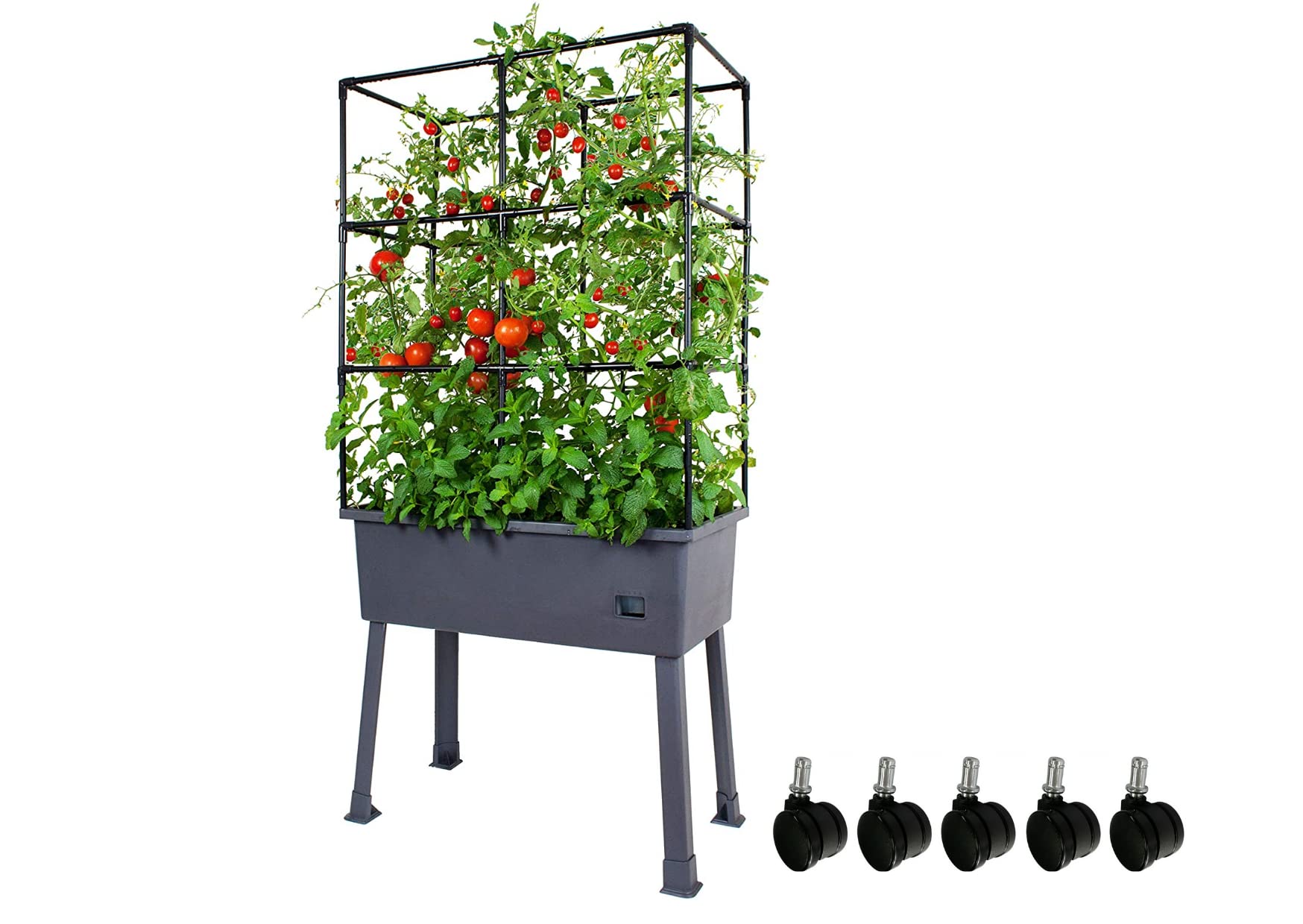 Self-Watering Elevated Planter Box 15.75