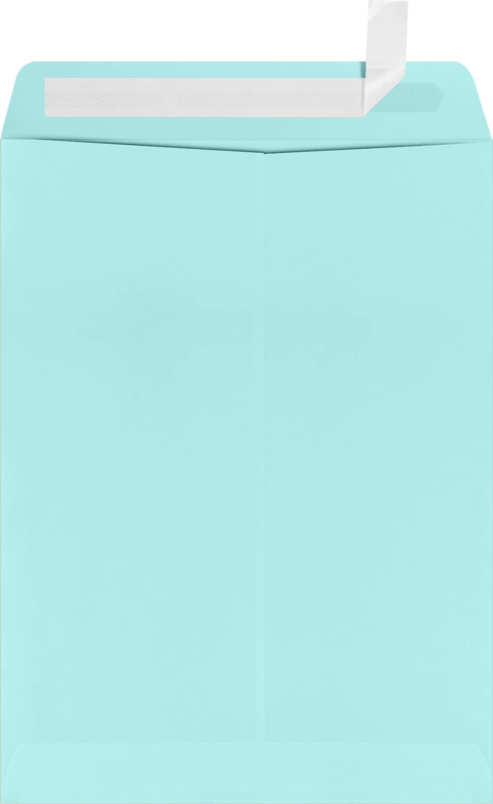 LUXPaper 9 x 12 Open End Envelopes | Self Seal Peel & Press Envelopes | 80lb Text Weight | 1000 Pack | Seafoam Blue | Perfect for Business Mail, Wedding Invitations & Office Correspondence