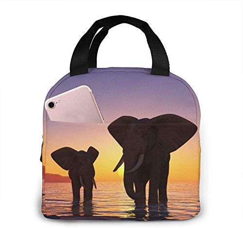 Insulated Reusable Lunch Bag for Work, Travel & Picnic - Elephant Family Sunset Design for Men, Women, Boys & Girls - Keep Food Fresh for Hours