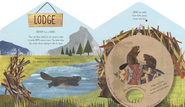 Libby Walden: Animal Homes - Lift the Flap Discovery Book Illustrated by Clover Robin | Interactive Educational Kids Book for Learning About Wildlife Habitats