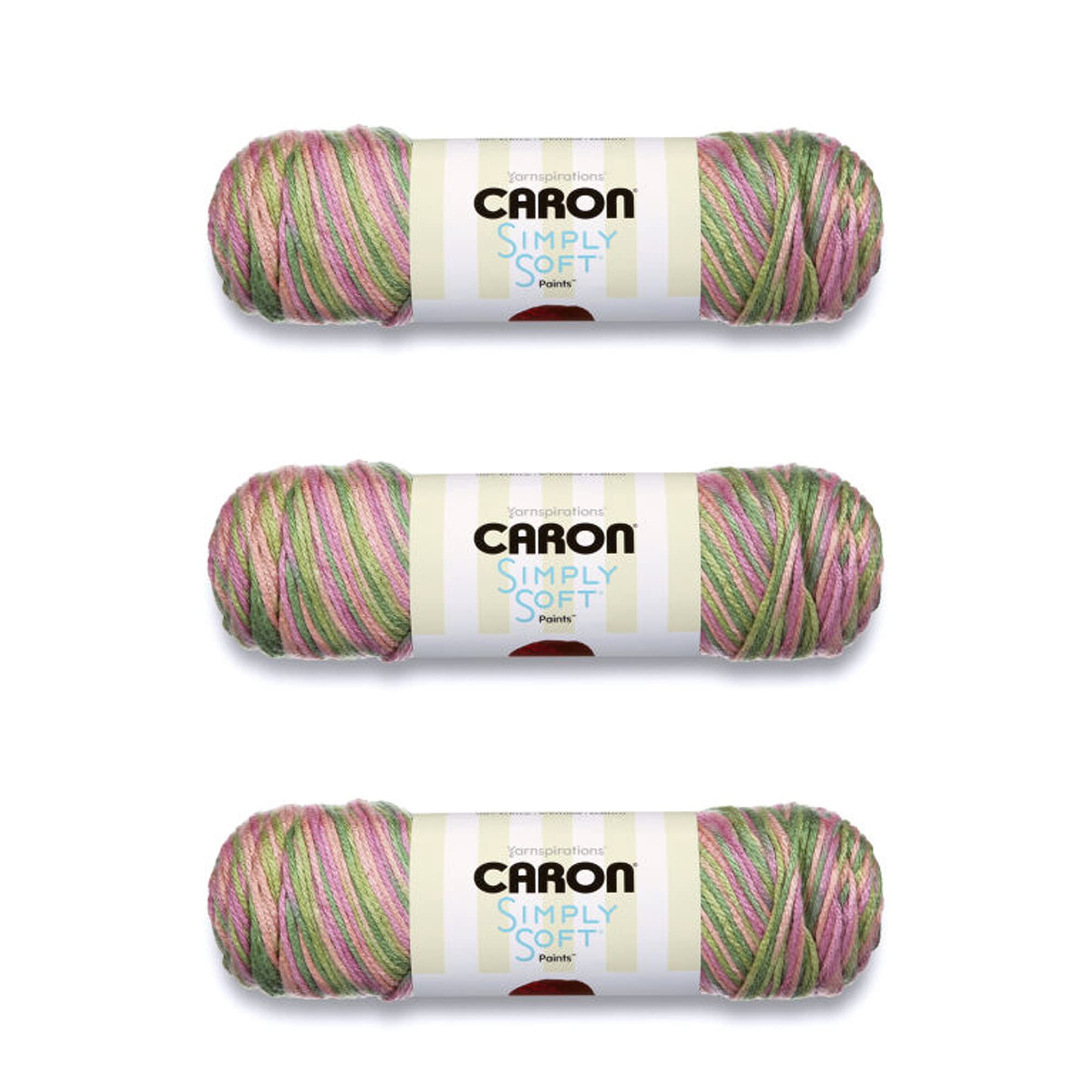 Caron Simply Soft Rose Garden Paints Yarn - 3 Pack (141g/5oz Each) - Premium Acrylic Worsted Weight Yarn (4 Medium) - 235 Yards per Skein - Perfect for Knitting & Crochet Projects - Ideal for Scarves, Blankets, and Baby Clothes