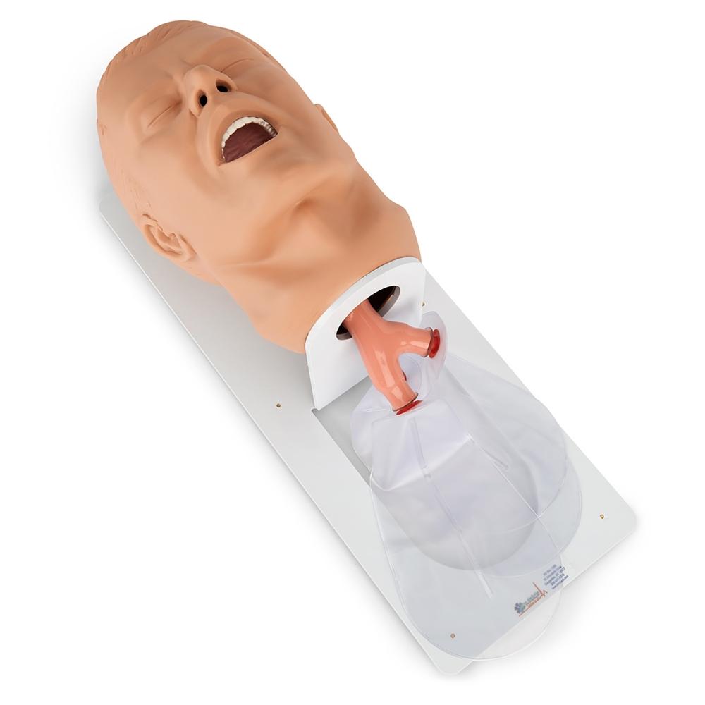 Professional Adult Airway Management Trainer with Board - CPR First Aid Training Manikin for Medical Students & Healthcare Professionals - Perfect for EMT, Nursing, and Emergency Response Practice