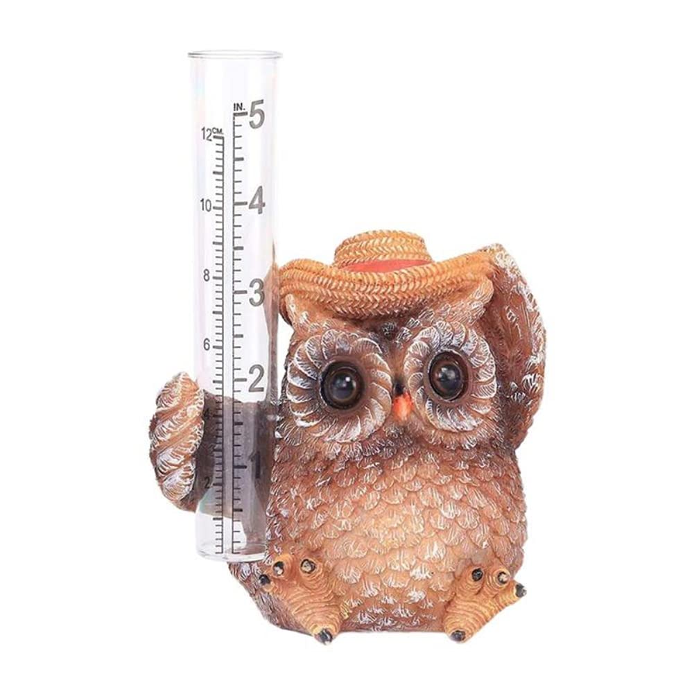 BenRan Resin Owl Rain Gauge - Outdoor Water Level Indicator for Garden, Lawn, and Yard Decor - Perfect for Measuring Rainfall in Backyards, Patios, and Flower Beds