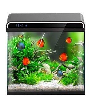 Ultra Clear Glass Nano LED Light Fish Tank 12L Black - Perfect for Home, Office, or Classroom Aquarium Setup