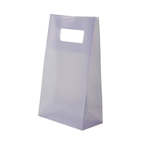 JAM PAPER Frosted Lunch Bags - 4.75