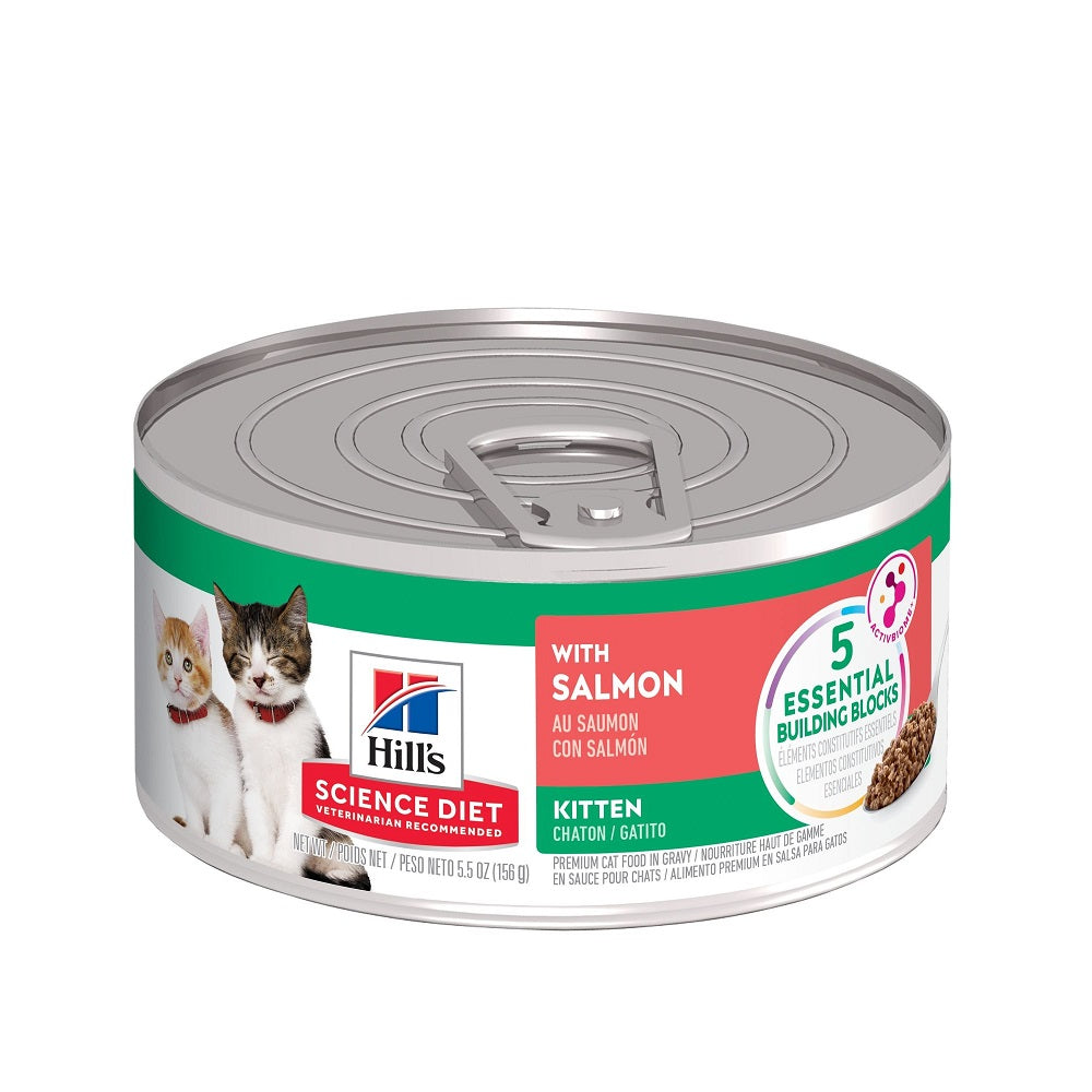 Hill's Science Diet Kitten Wet Cat Food with Salmon - High Protein, Grain-Free Wet Food for Kittens - Perfect for Growing Cats & Picky Eaters - Ideal for Mealtime, Training & Weight Management