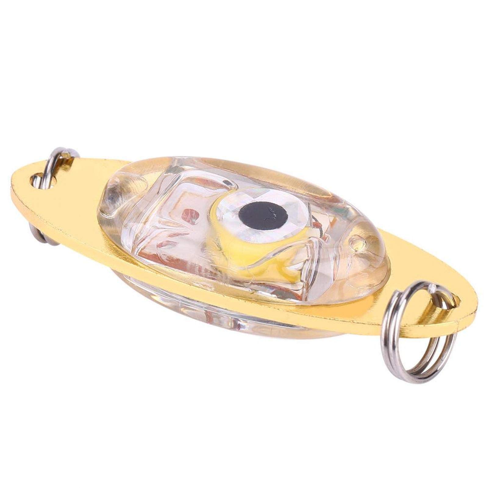 DAUERHAFT LED Fishing Lure Light - Red Visual Positioning Light for Boat Fishing | Night Fishing Gear & Underwater Attraction