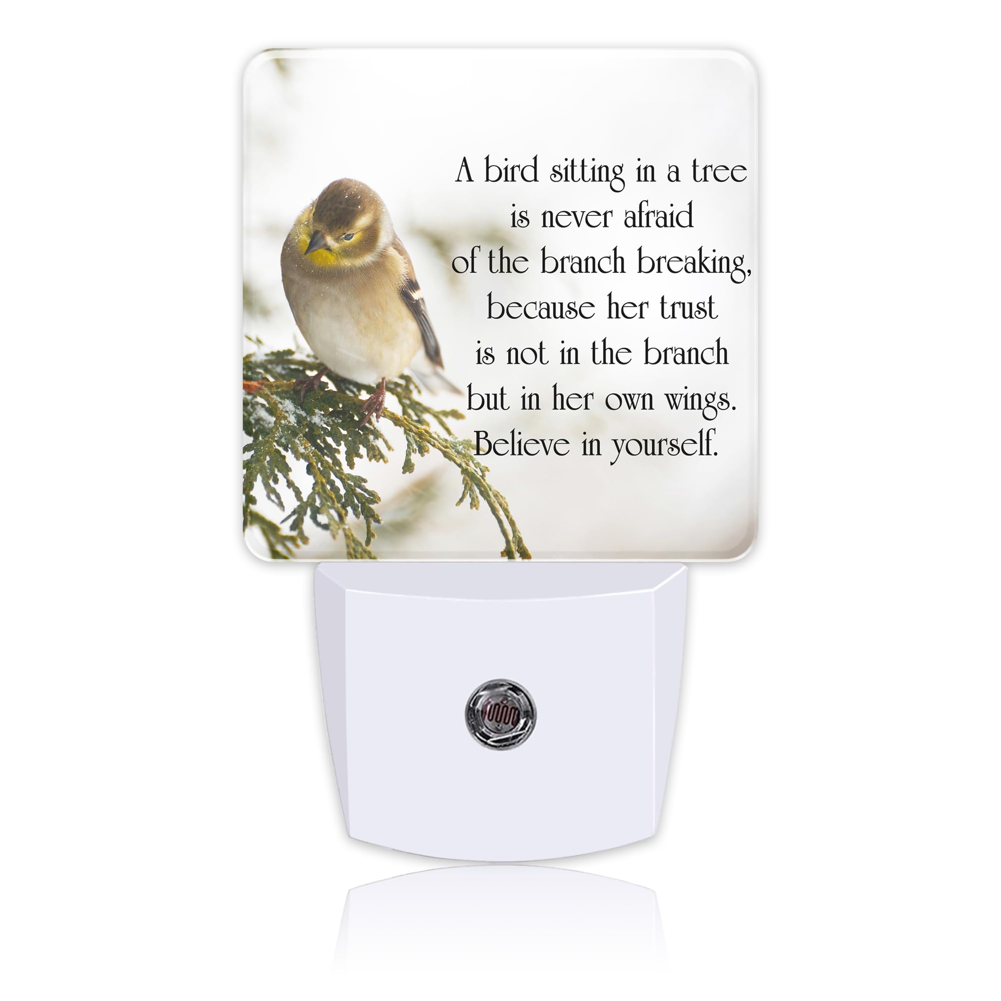 **Inspirational Quote LED Night Light Plug in with Dusk to Dawn Sensor - Perfect for Kids, Girls, Boys, Women - Ideal for Bedroom, Hallway, Kitchen, Bathroom, Nursery & Stairs - Create a Cozy & Safe Ambiance**
