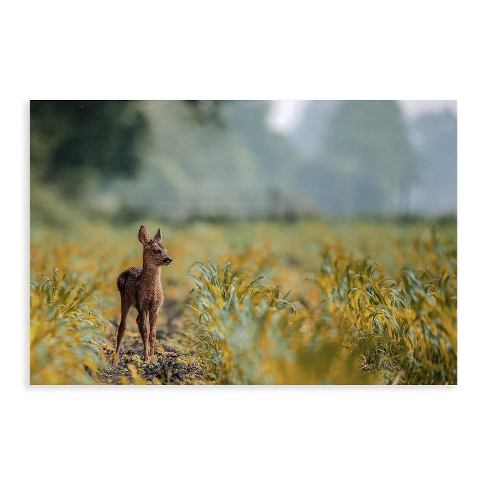 Baby Deer in Nature - Wild Animal Print Canvas Wall Art Poster for Home Decor, Bedroom, Living Room & Office - 12x18 Inch Forest Wildlife Picture - Perfect for Nursery, Kids Room & Cabin Decor