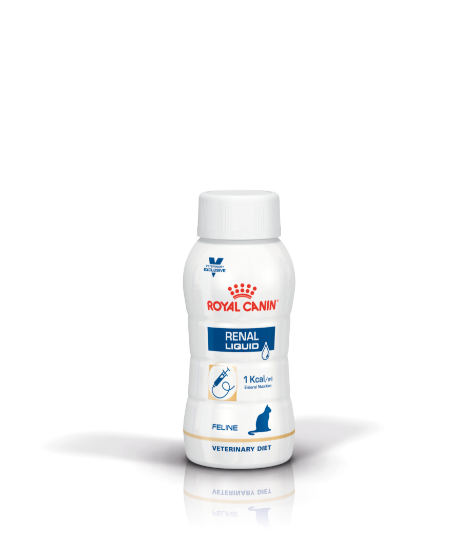 Royal Canin Feline Renal Support Cat Food - Liquid Formula for Kidney Health | Wet Food for Cats with Renal Issues | Perfect for Senior Cats & Feline Kidney Disease Management