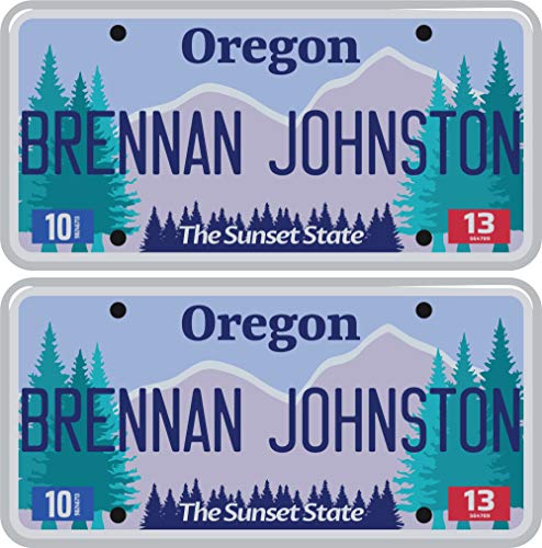 Custom Name Labels - Personalized Waterproof Stickers for Kids & Camp Gear | Dishwasher & Microwave Safe | US License Plate Design | Perfect for School, Daycare & Summer Camp