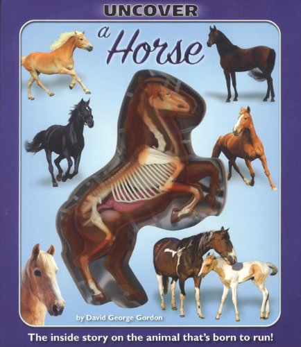 Uncover a Horse - Interactive Lift-the-Flap Children's Book | Animal Discovery & Learning for Kids | Perfect for Bedtime Stories & Classroom Activities
