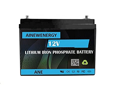 GOWE 12V 100Ah LiFePO4 Deep Cycle Battery - Grade A Cells, Rechargeable Lithium Iron Phosphate Battery for RV, Solar Power, Marine, Off-Grid & Backup Power Storage System | Perfect for Camping, Boating & Emergency Power Supply