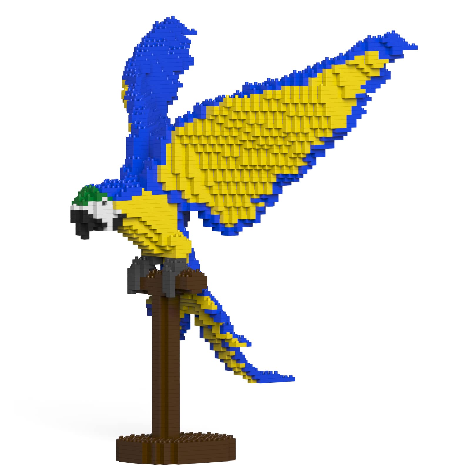 JEKCA Blue-and-Gold Macaw 02S Plastic Building Blocks Set - 1000+ Pieces for Adults & Teens Age 14+ - Creative DIY Model Kit for Home Decor, Gift & Collectible Display