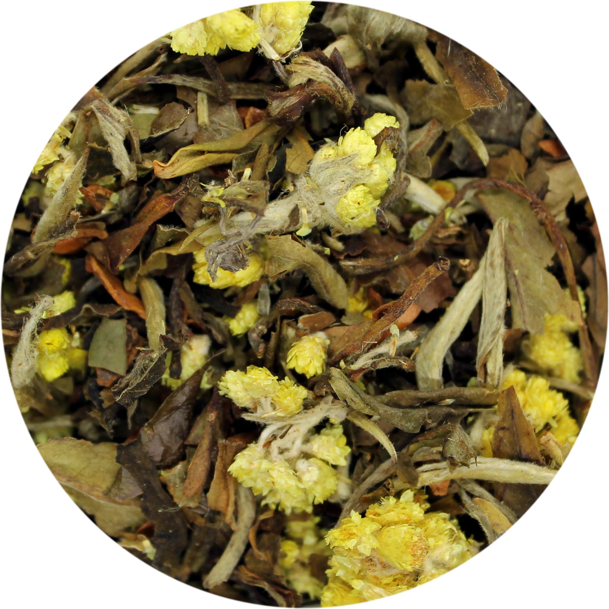 Organic Pear Spice White Tea Bags - 20 Count | Premium Loose Leaf Style | Perfect for Relaxation, Afternoon Tea & Gifts