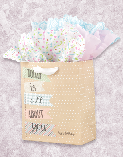 All About You (Studio) Premium Gift Bags - Elegant Party Favors for Weddings, Baby Showers & Special Occasions