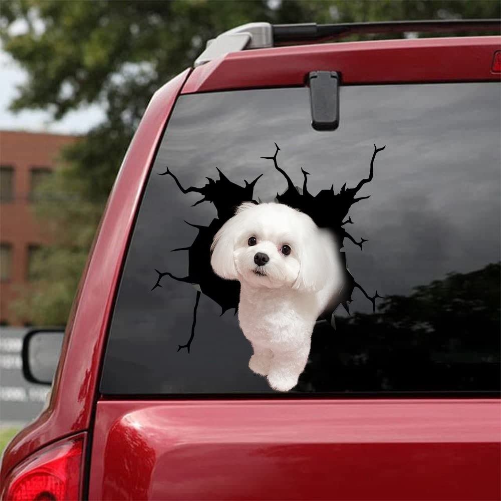 Maltese Car Decal for Dog Lovers - Vinyl Sticker 6x9
