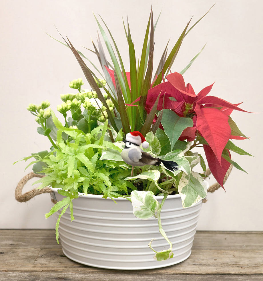 9 Inch White Winter Planter - Perfect for Indoor Plants, Home Decor, and Holiday Gift Ideas