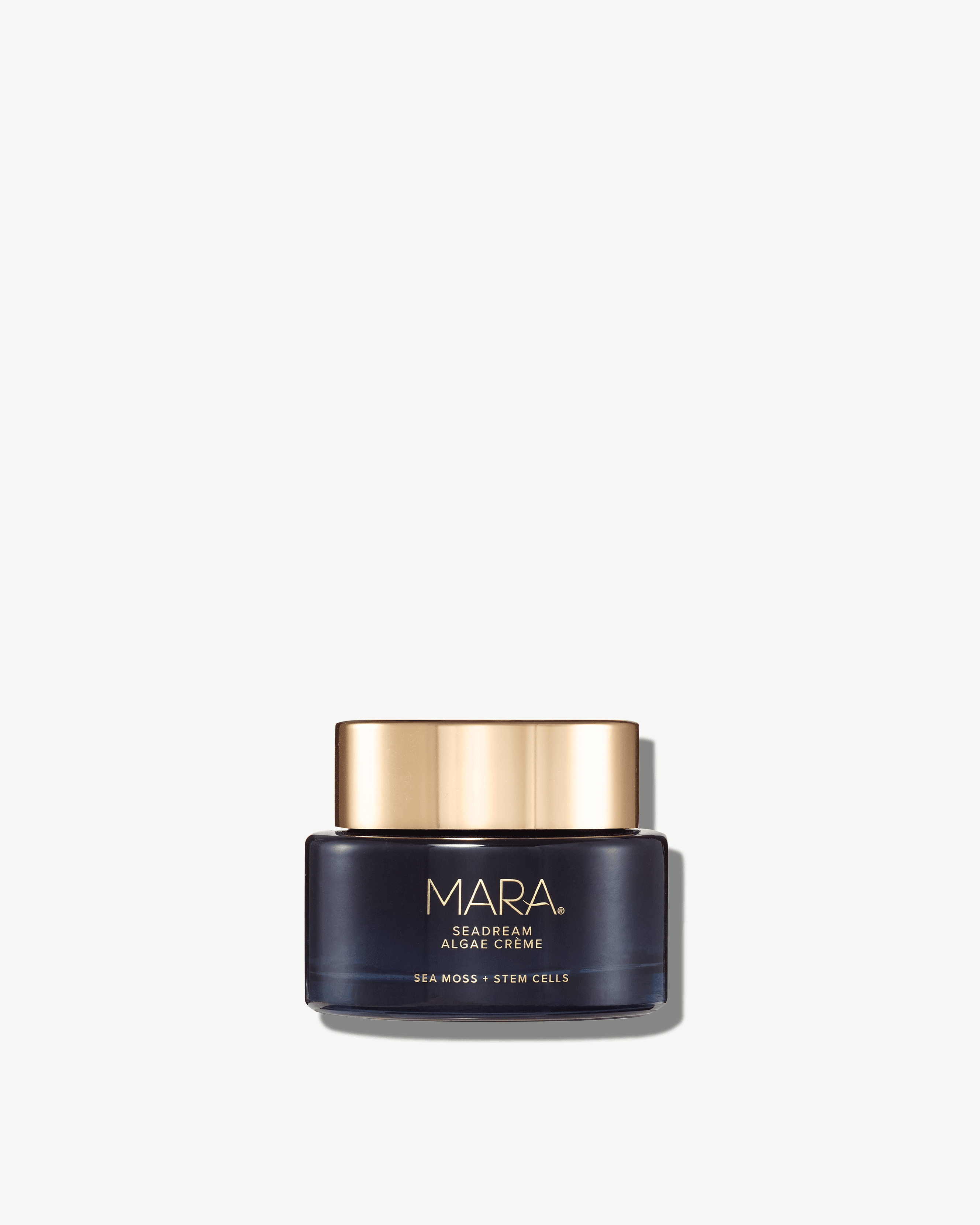 Sea Moss & Stem Cell Firming Algae Cream - Anti-Aging Face Moisturizer for Wrinkles & Dry Skin | Hydrating & Lifting Night Cream for Women & Men | Perfect for Daily Skincare Routine & Post-Workout Recovery