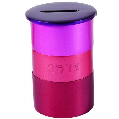 Yair Emanuel Kids' Craft Tzedakah Box - Anodized Aluminum Round Charity Box in Red (Bundle) - Perfect for Jewish Holidays, Sunday School & Home Decor