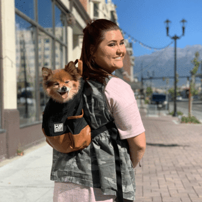 K9 Sport Sack Urban 2 Dog Backpack Carrier - Hands-Free Pet Carrier for Hiking, Biking & Travel - Burgundy - Perfect for Outdoor Adventures with Your Dog