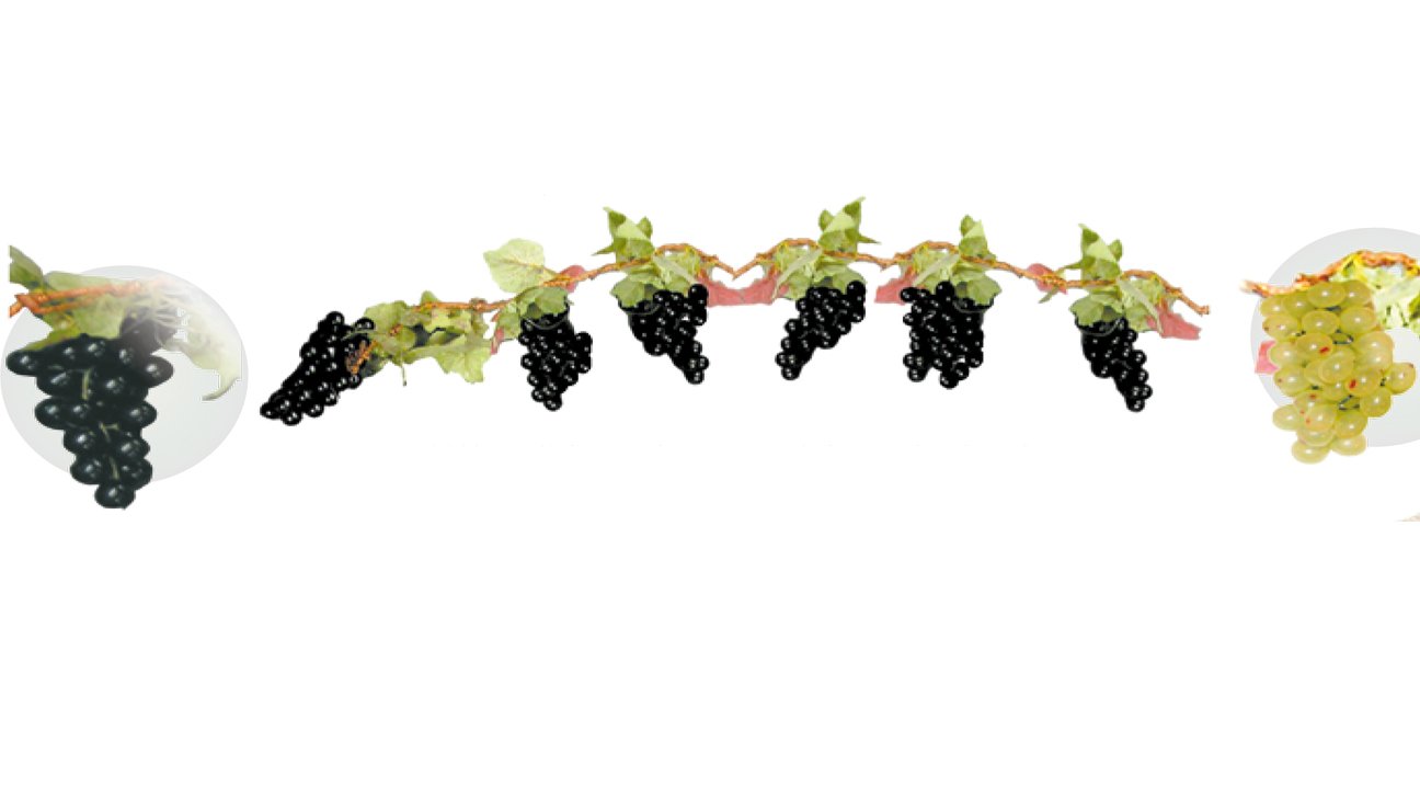 Grape Cluster Garland - Elegant Sukkah Decor for Jewish Holiday Celebrations | Perfect for Home, Synagogue & Festival Decorations