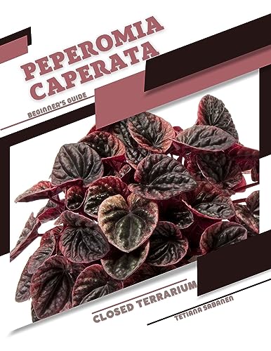 Peperomia Caperata Care Guide for Closed Terrariums - Easy Beginner Tips & Growing Instructions | Perfect for Home Decor, Office Plants & Indoor Gardening
