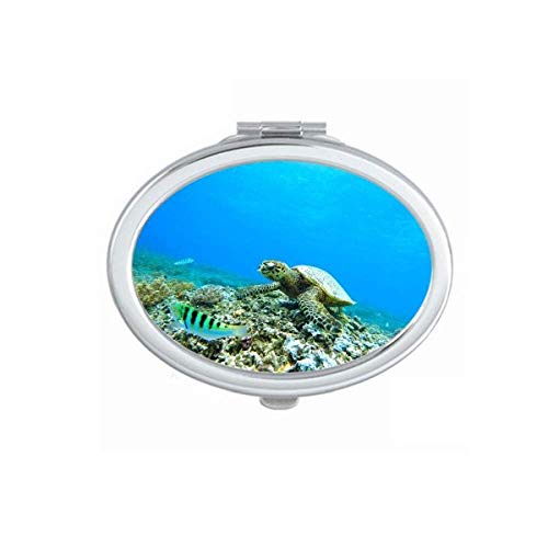 DIYthinker Ocean Sea Turtle Science Nature Picture Mirror - Portable Foldable Double-Sided Makeup & Glasses Mirror for Travel, Home Vanity & Beach Decor