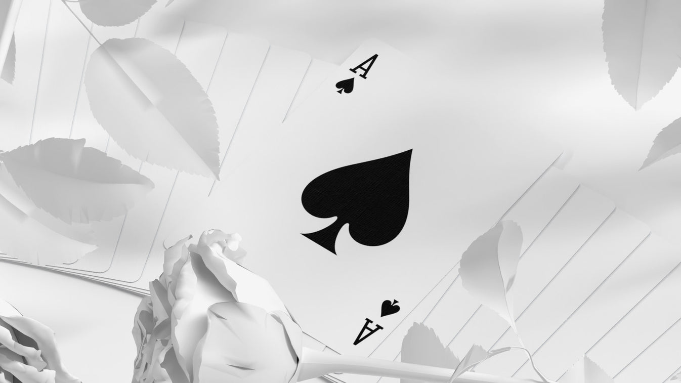 Premium Daniel Schneider White Edition Playing Cards - Elegant Design for Magic Tricks, Poker Games & Collectors | Perfect for Cardistry, Gifts & Professional Use